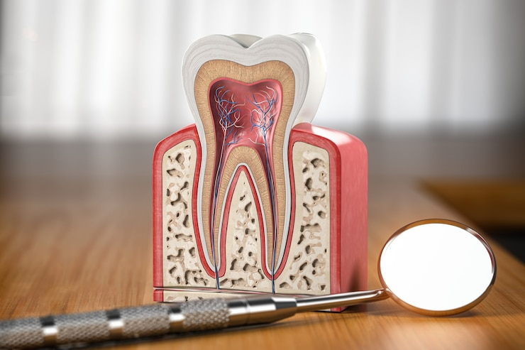 Best Root Canal Specialist in Muzaffarnagar